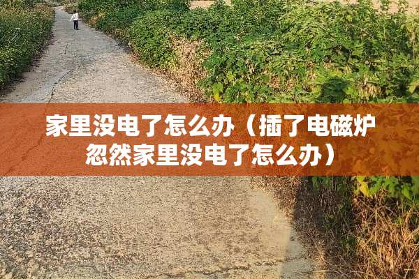 家里没电了怎么办（插了电磁炉忽然家里没电了怎么办）