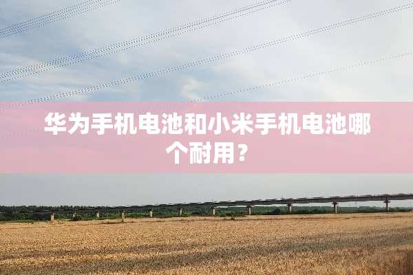华为手机电池和小米手机电池哪个耐用？