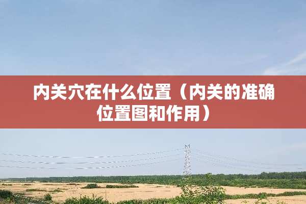 内关*在什么位置（内关的准确位置图和作用）