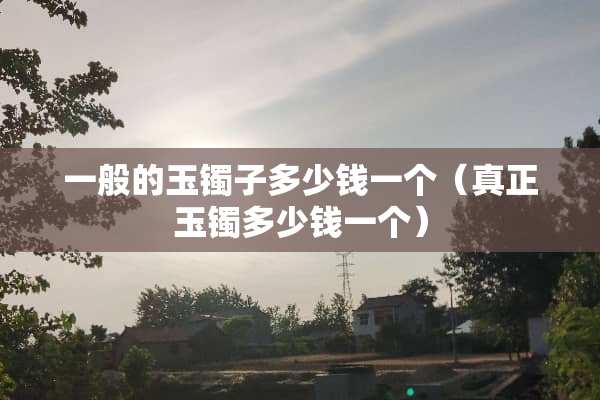 一般的玉镯子多少钱一个（真正玉镯多少钱一个）