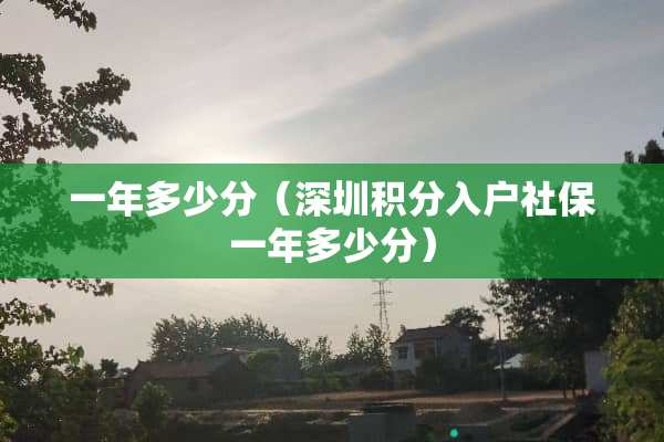 一年多少分（深圳积分入户社保一年多少分）