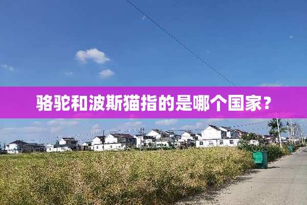 骆驼和波斯猫指的是哪个国家？