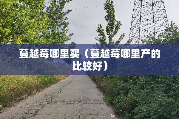 蔓越莓哪里买（蔓越莓哪里产的比较好）