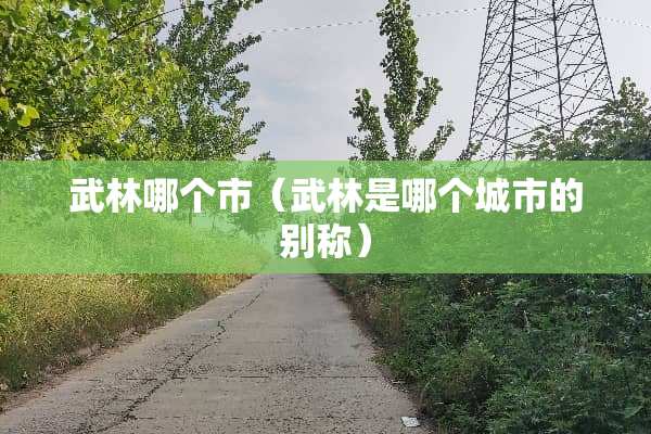 武林哪个市（武林是哪个城市的别称）