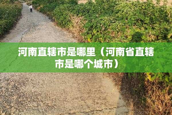 河南直辖市是哪里（河南省直辖市是哪个城市）