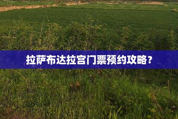 拉萨布达拉宫门票预约攻略？