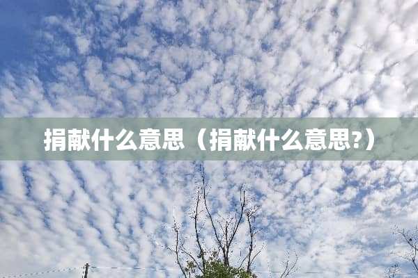 捐献什么意思（捐献什么意思?）