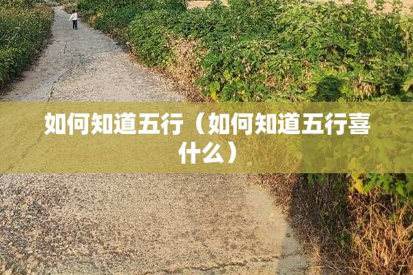 如何知道五行（如何知道五行喜什么）