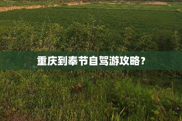 重庆到奉节自驾游攻略？