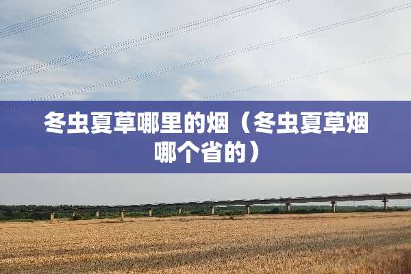 冬虫夏草哪里的烟（冬虫夏草烟哪个省的）