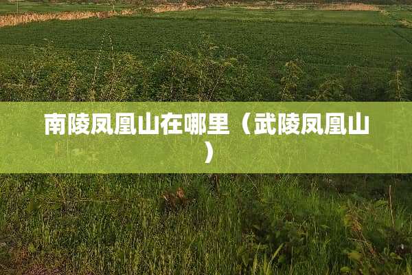 南陵凤凰山在哪里（武陵凤凰山）