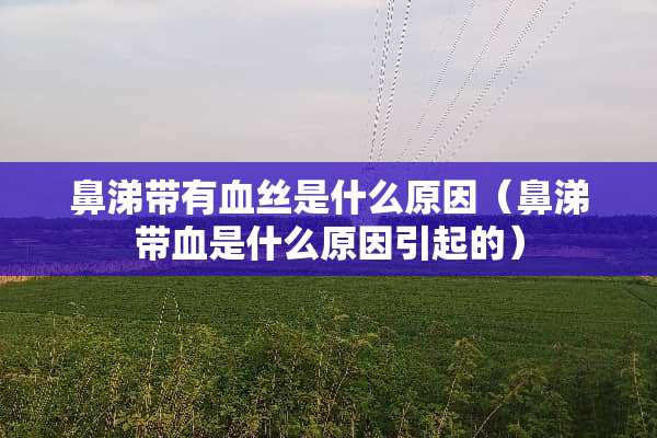 鼻涕带有血丝是什么原因（鼻涕带血是什么原因引起的）
