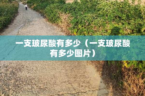 一支玻尿酸有多少（一支玻尿酸有多少图片）