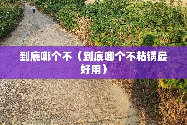 到底哪个不（到底哪个不粘锅最好用）