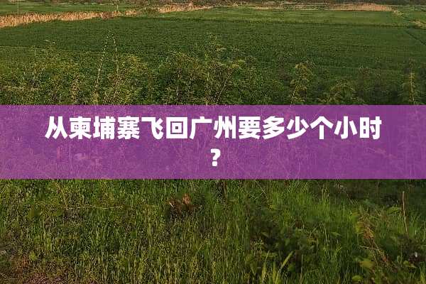从柬埔寨飞回广州要多少个小时？