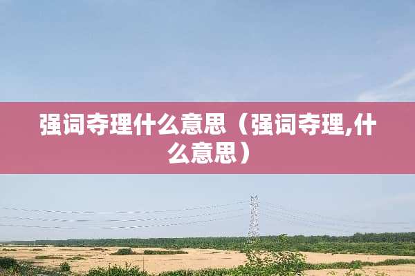 强词夺理什么意思（强词夺理,什么意思）
