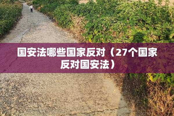 国安法哪些国家反对（27个国家反对国安法）