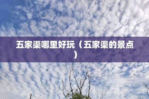 五家渠哪里好玩（五家渠的景点）
