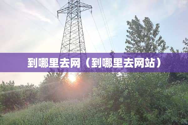 到哪里去网（到哪里去网站）