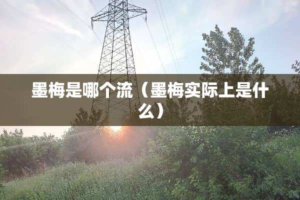 墨梅是哪个流（墨梅实际上是什么）