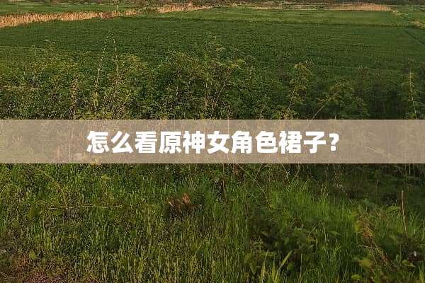 怎么看原神女角色裙子？