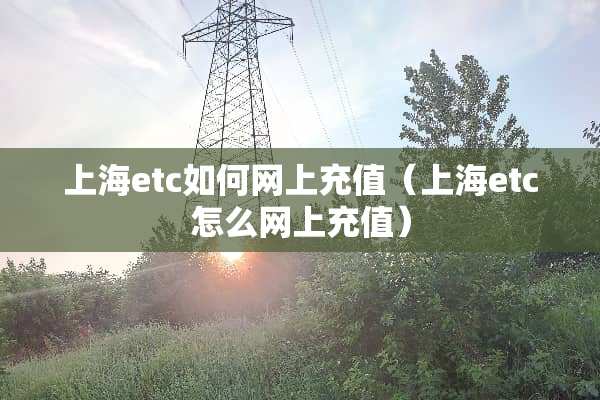上海etc如何网上充值（上海etc怎么网上充值）