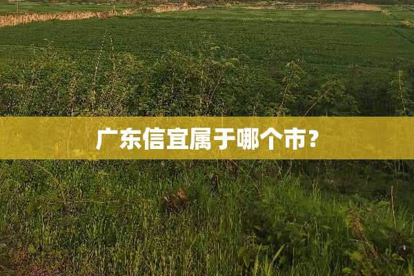 广东信宜属于哪个市？