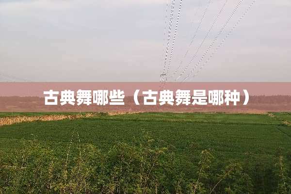 古典舞哪些（古典舞是哪种）