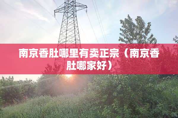 南京香肚哪里有卖正宗（南京香肚哪家好）