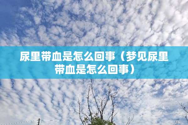 尿里带血是怎么回事（梦见尿里带血是怎么回事）