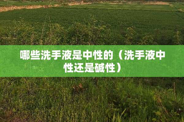 哪些洗手液是中性的（洗手液中性还是碱性）