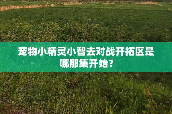 宠物小精灵小智去对战开拓区是哪那集开始？