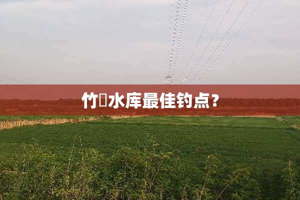 竹崀水库最佳钓点？