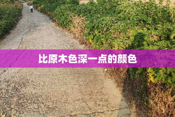 比原木色深一点的颜色