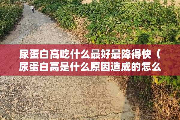 尿蛋白高吃什么最好最降得快（尿蛋白高是什么原因造成的怎么治疗）