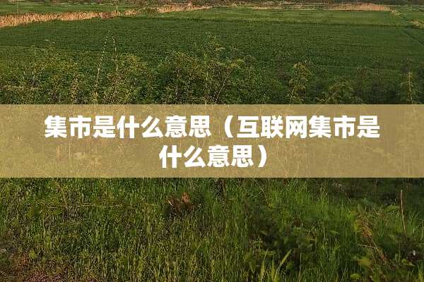 集市是什么意思（互联网集市是什么意思）