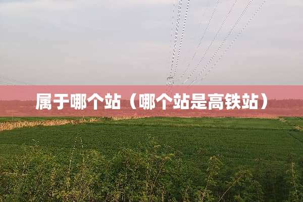 属于哪个站（哪个站是高铁站）