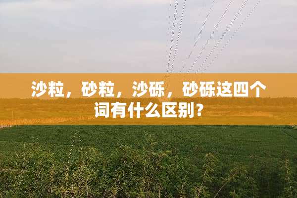 沙粒，砂粒，沙砾，砂砾这四个词有什么区别？