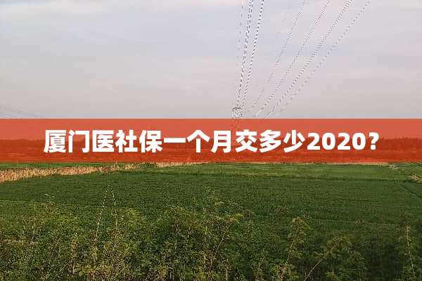厦门医社保一个月交多少2020？