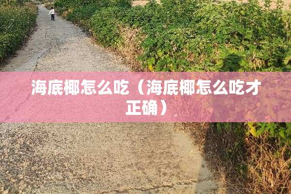 海底椰怎么吃（海底椰怎么吃才正确）
