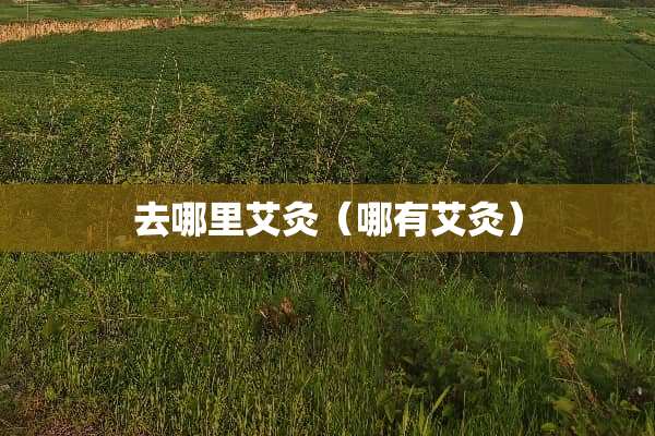 去哪里艾灸（哪有艾灸）