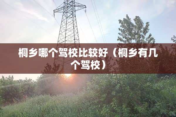 桐乡哪个驾校比较好（桐乡有几个驾校）