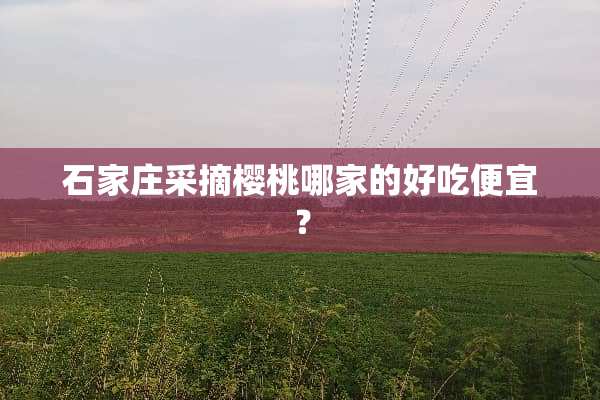 石家庄采摘樱桃哪家的好吃便宜？