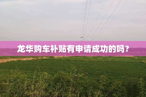 龙华购车补贴有申请成功的吗？