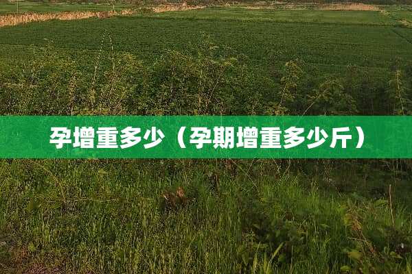 孕增重多少（孕期增重多少斤）