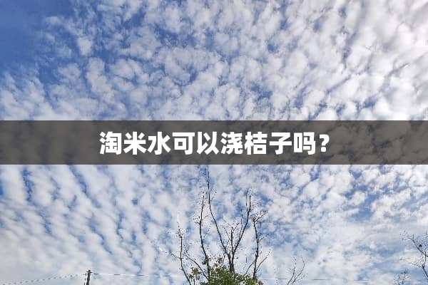 淘米水可以浇桔子吗？