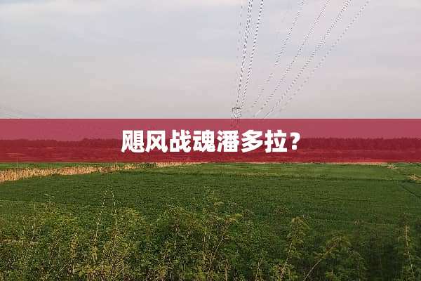 飓风战魂潘多拉？