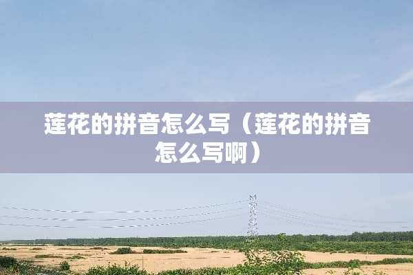 莲花的拼音怎么写（莲花的拼音怎么写啊）
