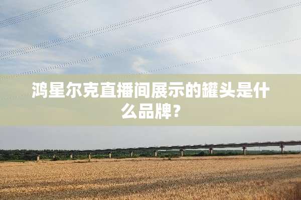 鸿星尔克直播间展示的罐头是什么品牌？