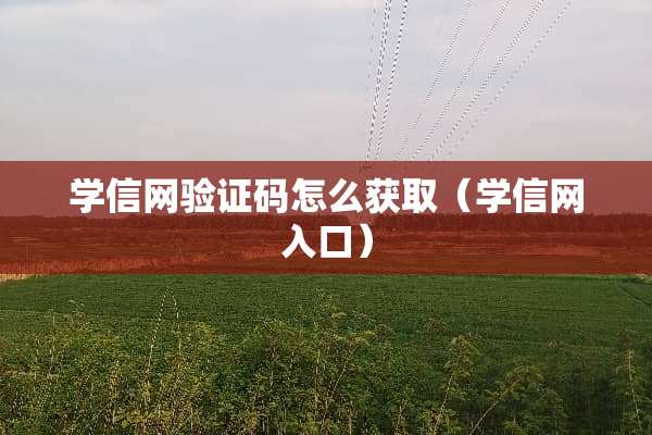 学信网验证码怎么获取（学信网入口）